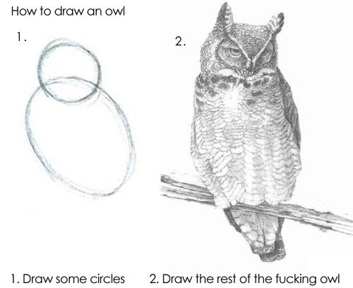 ho to draw an owl